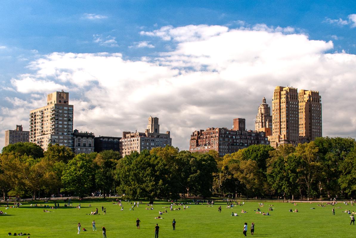 Central Park Through Seasons: Exploring NYC's Urban Oasis