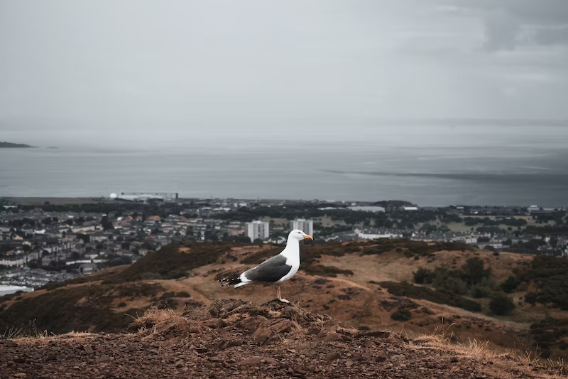 Nannybag - What To Know BEFORE Exploring Arthur's Seat & Holyrood Park