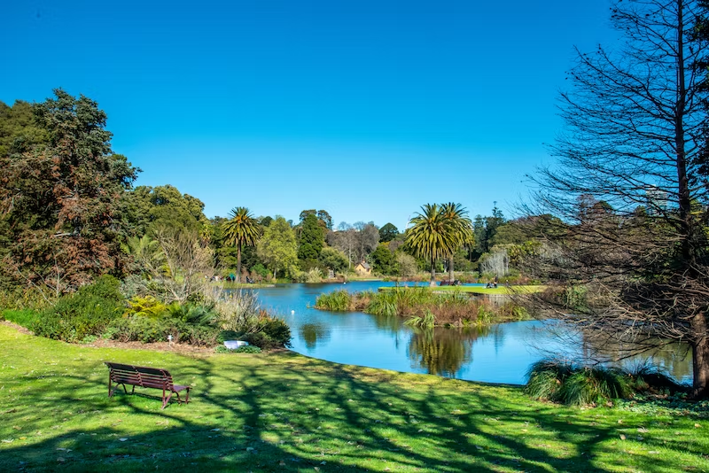 10 Parks & Gardens in Melbourne to Get Your Relaxation On