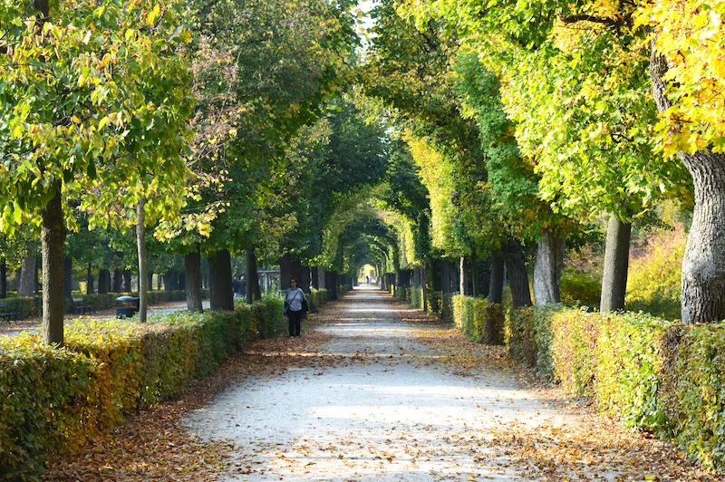 Vienna's Beautiful Parks: 10 Ideal Spots for Relaxation