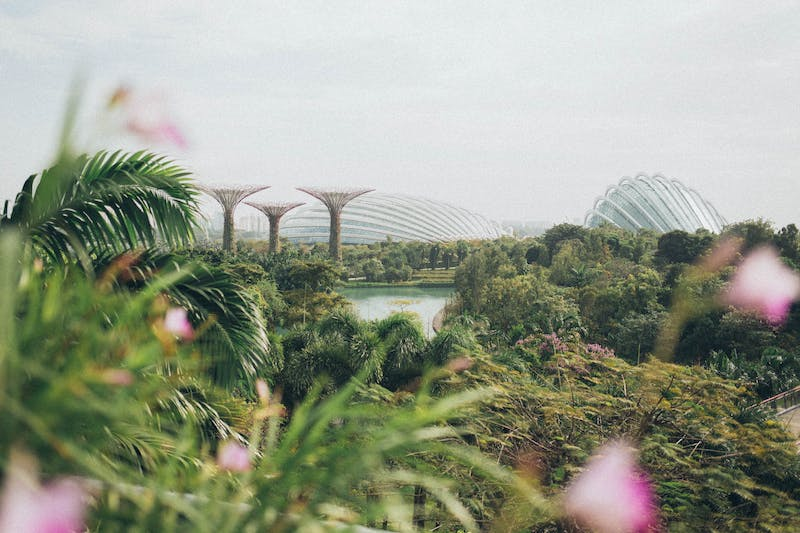 Serenity in Nature: Exploring Singapore's Gardens and Parks