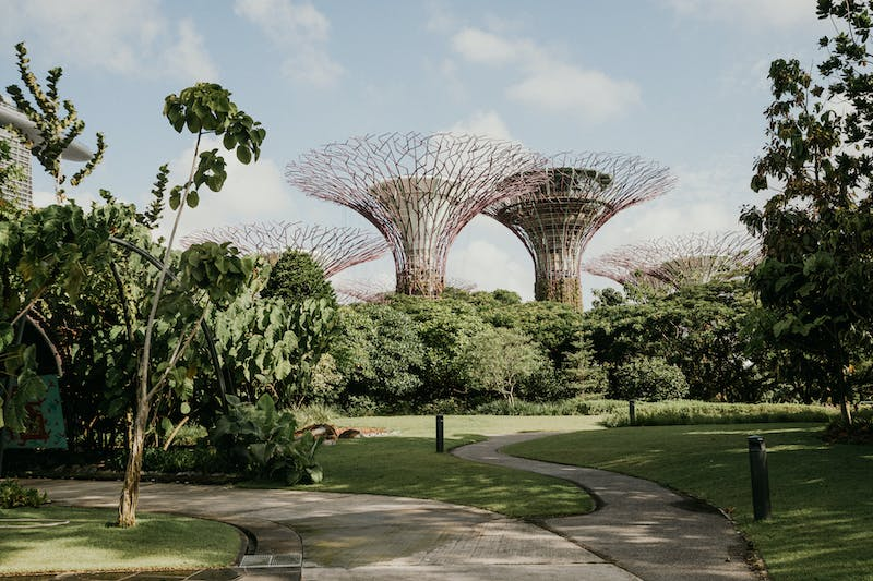 Relaxing in Singapore's Urban Oases